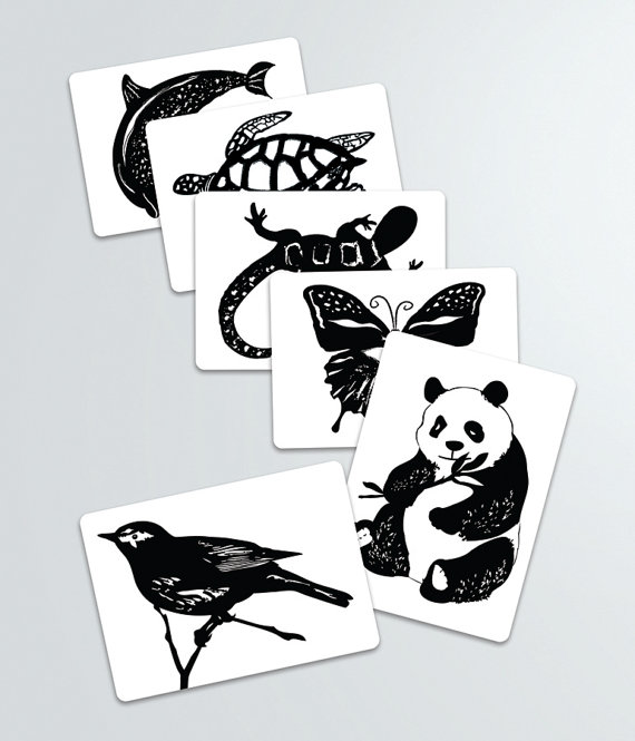 Black and White, High-Contrast Stimulation Cards For Baby
